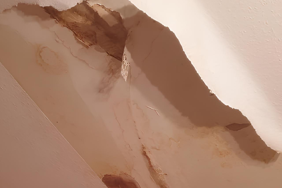 Dégâts des Eaux à Mulhouse