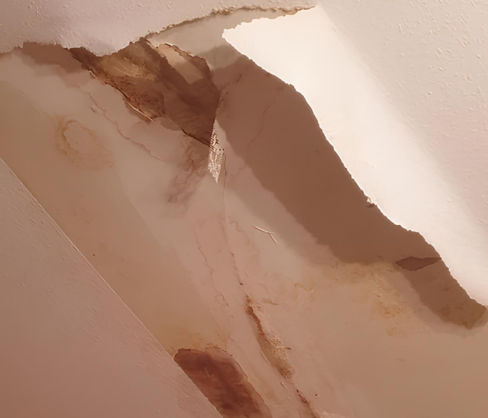 Rénovation de peinture après dégâts des eaux Rénovation de peinture après dégâts des eaux